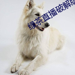 绿茶直播破解版 （轻车熟路）