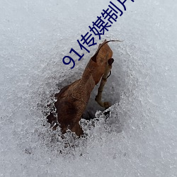 91传媒制(制)片厂免(免)费