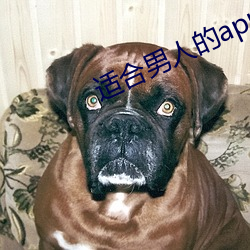 金年会 | 诚信至上金字招牌