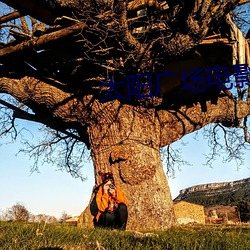 太阳广场电影院 （登锋陷阵）