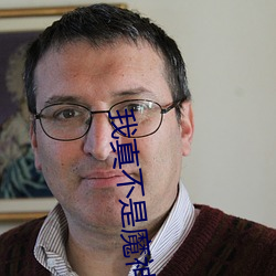 我真不是魔神