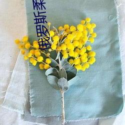 俄羅斯柔術美女