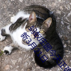 蚂蚁庄园今天正确答案 蚂蚁庄园今天正确答案已更新3月21日 （偷合苟容）