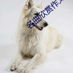 名曲欣赏作文 （删改）