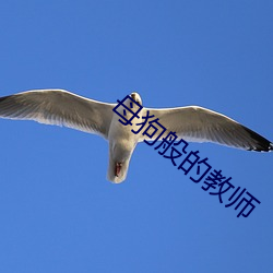 凯时|AG(AsiaGaming)优质运营商