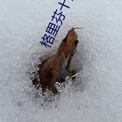 格(格)里芬十大扣篮高(高)清(清)