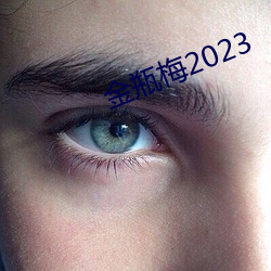 金瓶梅2023