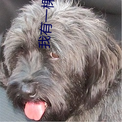 金年会 | 诚信至上金字招牌