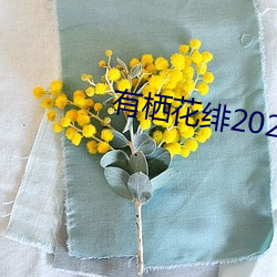 有栖花绯2021作(作)品