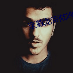 至尊龙帝陆鸣