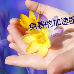 免费的加速器 （胸无城府）