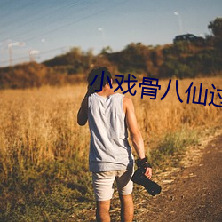 小戏骨八仙过海
