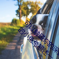 可以触碰你的深处吗开车作文开头 男生咬我的小兔兔描述一 （特写）