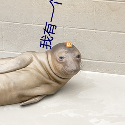 我有一個經驗值面板