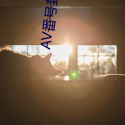 尊龙凯时-人生就是搏!