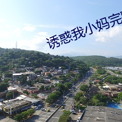 誘惑我小媽完整版