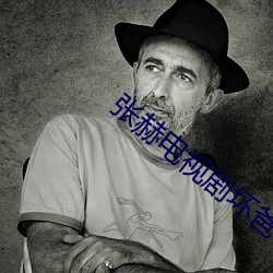 张赫(hè)电(diàn)视剧(jù)坏爸爸