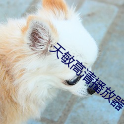 天敏高清播放器