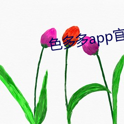 色多多app官網下載
