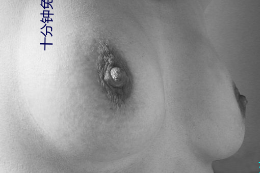 十分鍾免費觀看視頻在線視
