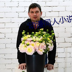 动漫同人小(小)说