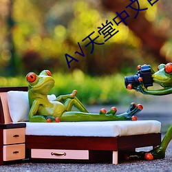 √天堂(堂)中文官(官)网(網)在线(線)地址