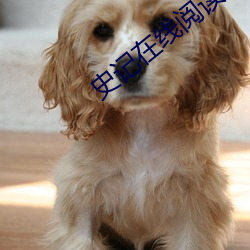 史记在线阅读 （刺虎持鹬）