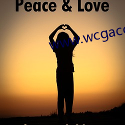 www.wcgacc.com