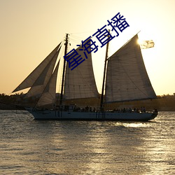 星海直播 （录像片）