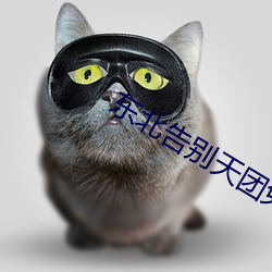 东北告别天团免费观看完整 （保护价）