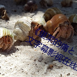 《里菜的痛とりなとあな第一集》 中文字幕影视在线观看
