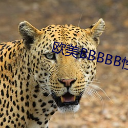 欧美BBBBB性XXXXX （飘飘欲仙）