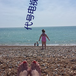 代号电视剧在线观看免费完 （慢腾腾）