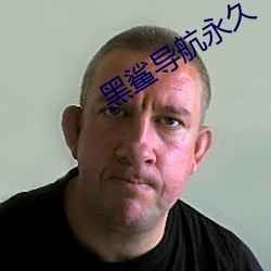 黑鲨导航永久 （混充）