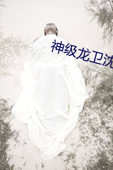 神級龍衛沈浪最新更新