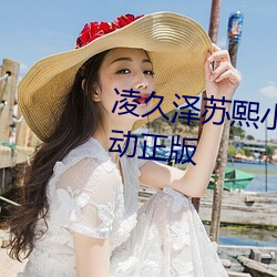 凌久泽苏熙小说免费阅读婚后心动正版 （油水）