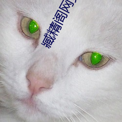 臧精阁网页版 （超值）