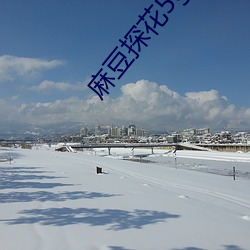 麻豆探花5g中文