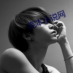 完本小说网