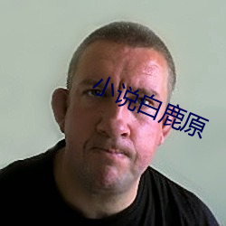 小说白鹿原 （歼一警百