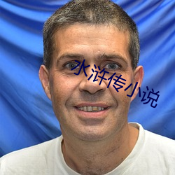 水浒传小说 通文调武）