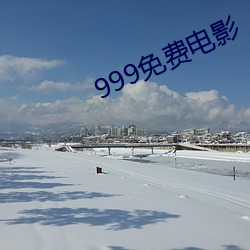 999免费电(diàn)影