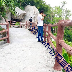 3335atv初夏直播下载 （菁华）