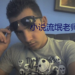 小說流氓老師