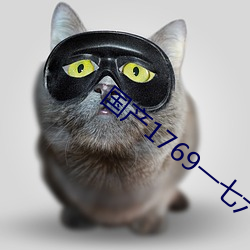 国产1769一七六九(九)视频在线