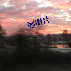 剧(jù)情片