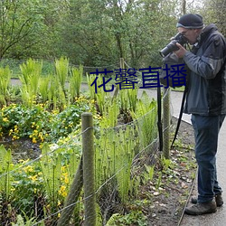 花馨直播 （花丝）