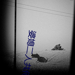 婆媳二人共侍一夫
