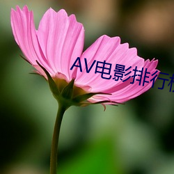 AV电影排行榜 （富国裕民）