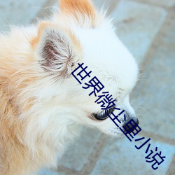 世界微塵裏小說